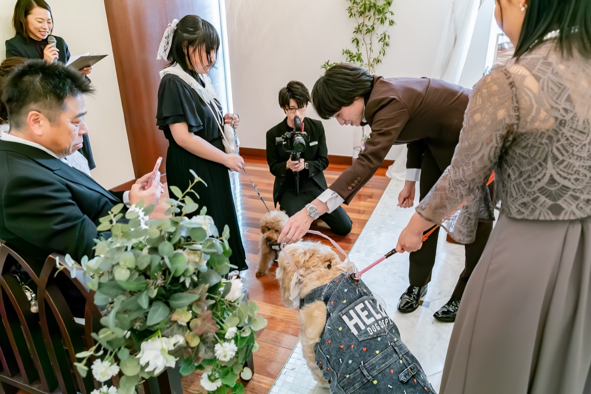 挙式に参加する大型犬